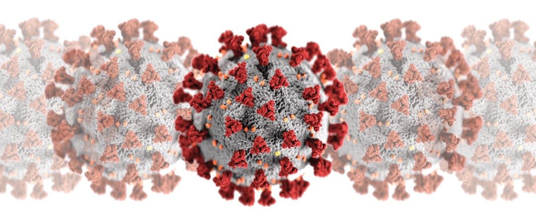 Slow Businesses: A Devastating By-product Of COVID-19