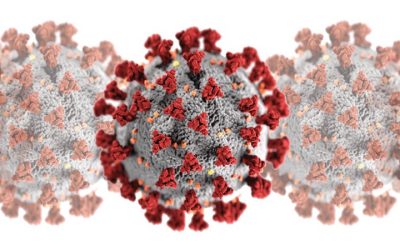 Slow Businesses: A Devastating By-product Of COVID-19